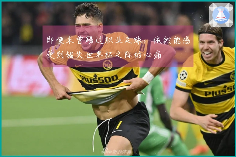 即便未曾踢过职业足球，依然能感受到错失世界杯之际的心痛