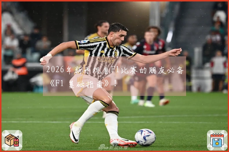 2026年新手观看F1比赛的朋友必备《F1 基础指南》！
